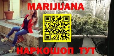 крисы Краснодар