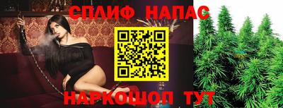 крисы Краснодар