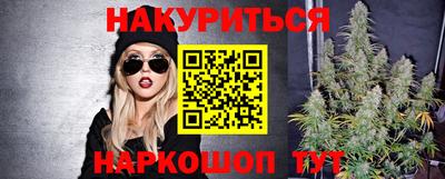 крисы Краснодар