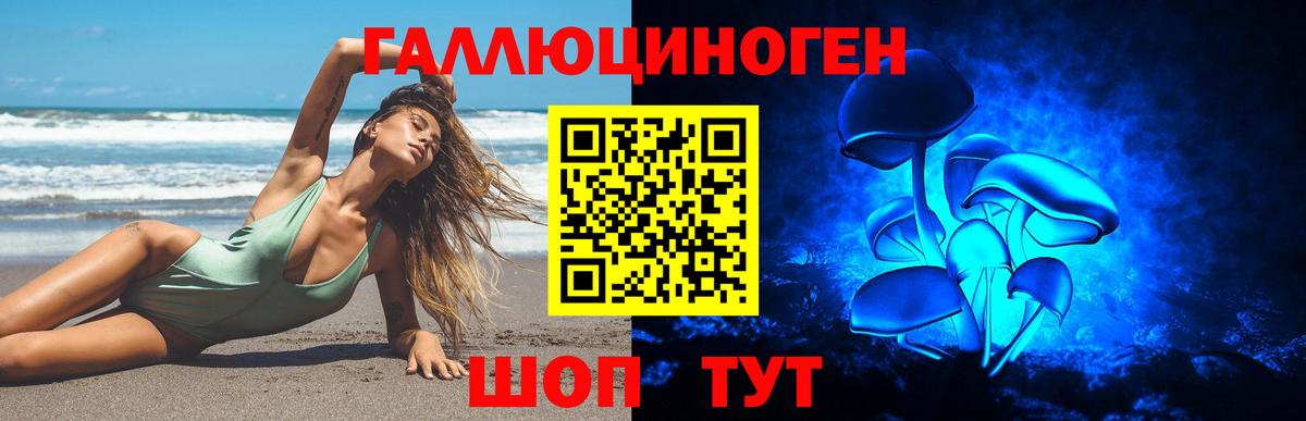 Галлюциногенные грибы мухоморы  Вход с VPN  Гусев 